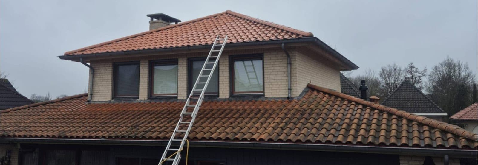 Dakpanreiniging: dakpannen voor en na reiniging door All in One Cleaning
